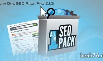 all-in-one-seo-pack-pro-v213