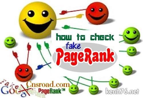 how-to-check-Fake-PageRank