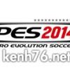 Logo_pes2014