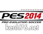 Logo_pes2014