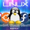 liinux-freedom-choices-beautiful