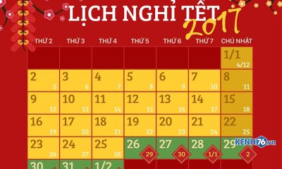 lich-nghi-tet-dinh-dau-2017