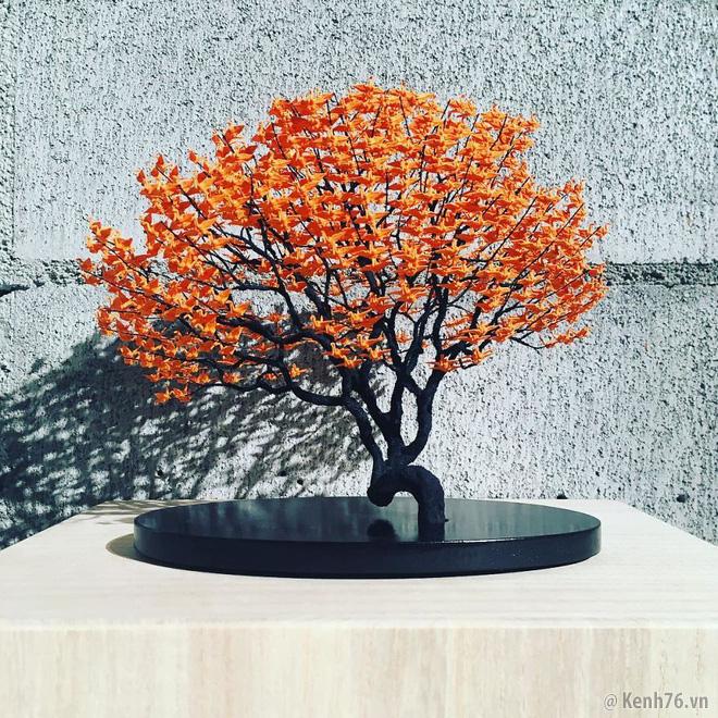 
Dù cái nôi của bonsai là Trung Quốc, nhưng qua thời gian, bằng sự tinh tế và sáng tạo, người Nhật đã nâng Bonsai lên tầm nghệ thuật và biến nó trở thành một trong những đặc trưng của xứ sở hoa anh đào
