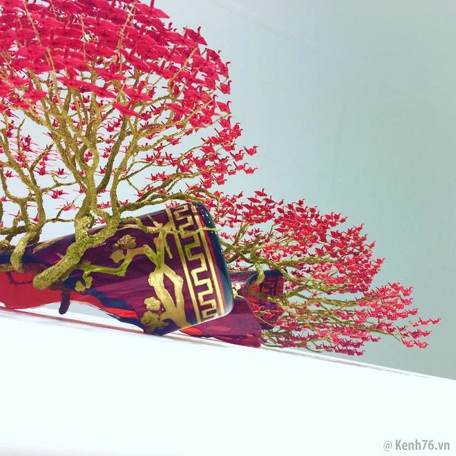 
Có thể nói, nhắc đến bonsai nghệ thuật là nhắc đến Nhật Bản.
